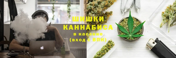 экстази Богданович